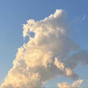 Meet your Posher, Penny